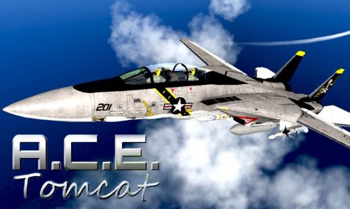 A. C. E. Tomcat - Steuere in diesem beeindruckenden Flugzeugsimulator den Doppel-Düsenjäger F-14 Tomcat.